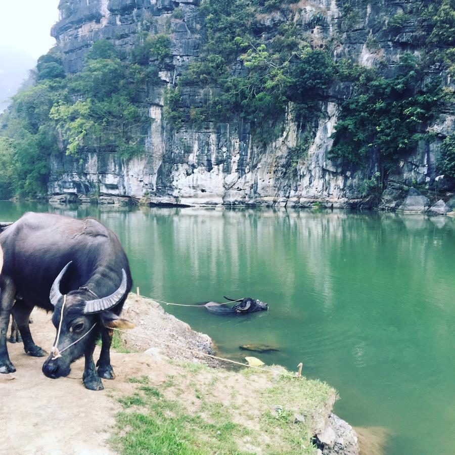 Mai'S Homestay Trang An Ninh Binh Exteriér fotografie